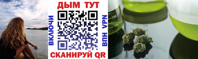 МАРИХУАНА SATIVA & INDICA  мега маркетплейс  Сокол  купить  